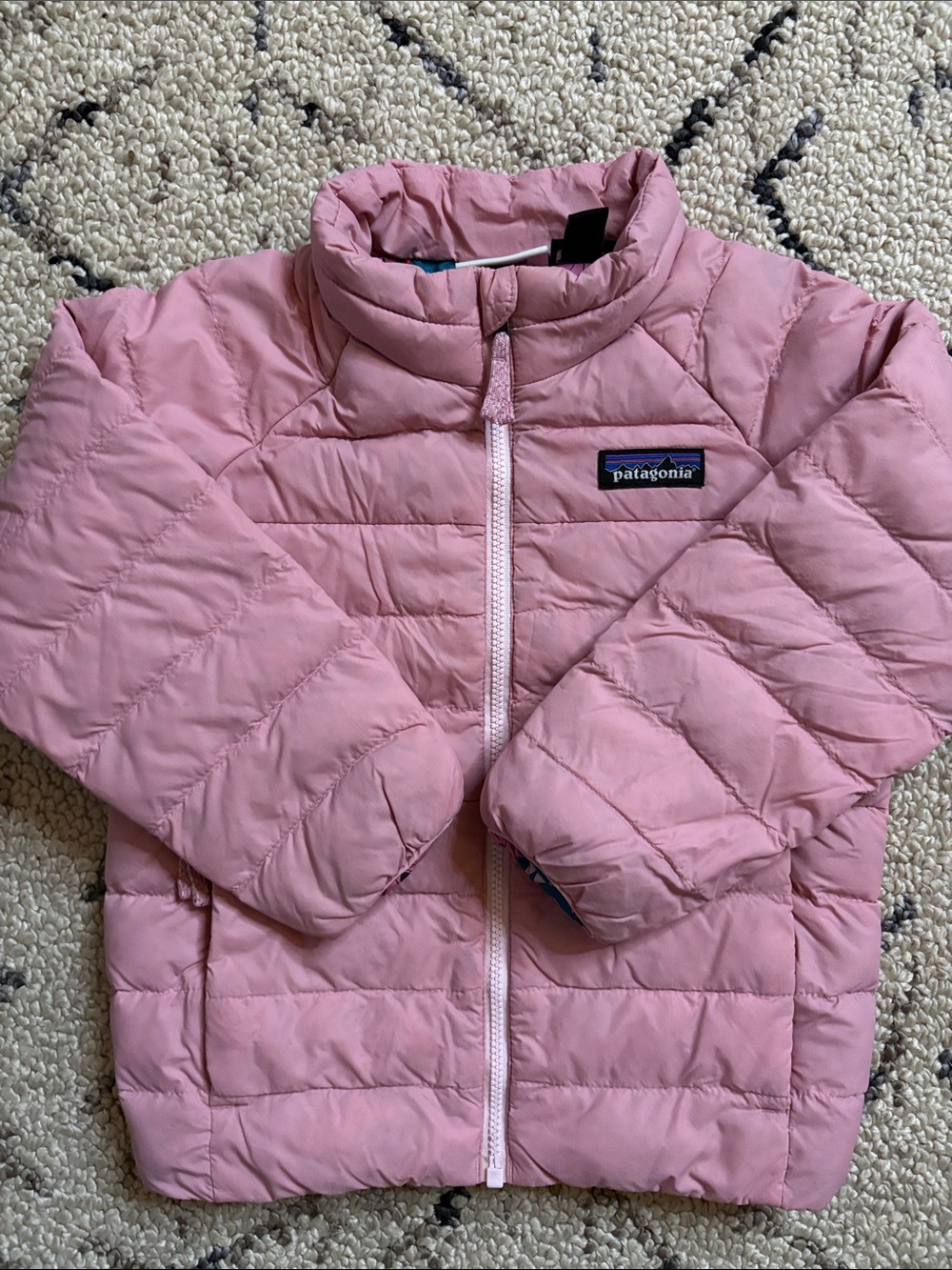 Patagonia Kids  Puffer Jacket (3T) EUC
